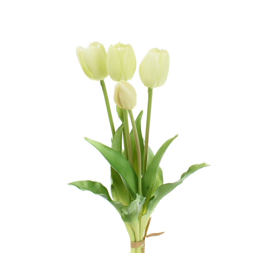 EDG – Enzo De Gasperi Bouquet Di Tulipani bianchi