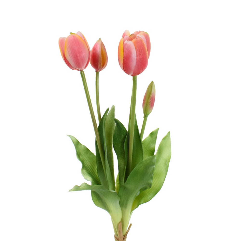 EDG – Enzo De Gasperi Bouquet Di Tulipani